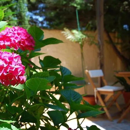 Guest house Ca La Carmeta